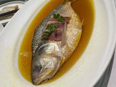 -上海会馆(香港名都店)