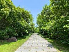-瑶湖郊野森林公园