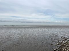 -上海吴淞炮台湾国家湿地公园