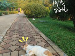 -晓港公园