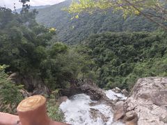 -海南霸王岭国家森林公园