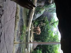 iphone_upload_pic-河川生态园