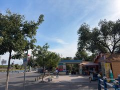 -伊犁河景区
