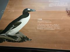 -长江文明馆