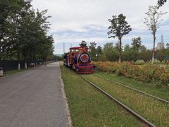 -永定河休闲森林公园