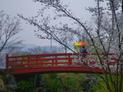 -羊山湖公园