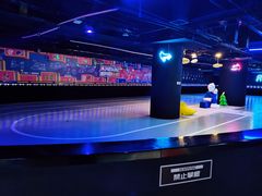 -VS SPORTS PARK运动玩乐园·团建·生日会(合生汇店)