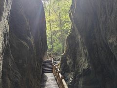 -秦岭风景区