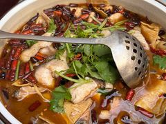 煳辣乌鱼片-蔼若春.传承云南菜(金碧公园店)
