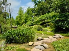 -云溪植物园