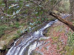 -燕子河大峡谷天坑仙境