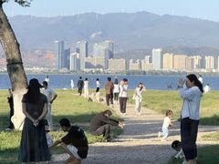 -洱海月湿地公园