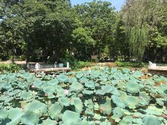 -林丰温泉度假山庄