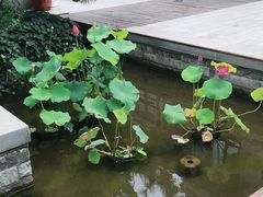 -威高民俗文化邨