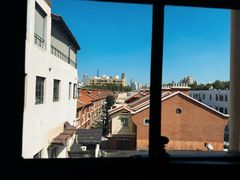 -滇野云南野生菌餐厅(陕西南路店)