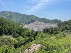 -燕塞湖鸟语林景区