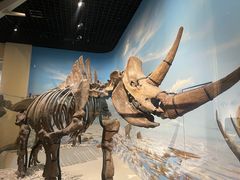 -国家自然博物馆