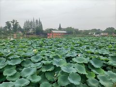 -尚成·蓝色港湾恒温游泳馆