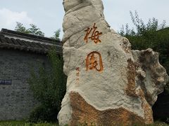 -梅园