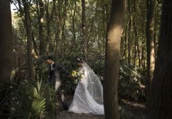 点击看大图 -太郎花子婚纱摄影艺术中心