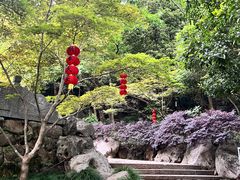 -杭州西湖风景名胜区-三生石