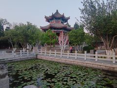 -明湖楼·经典鲁菜山东海鲜(大明湖店)
