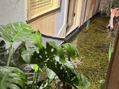 -邈墨茶馆(凤起路店)