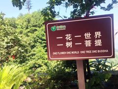 -綦江古剑山