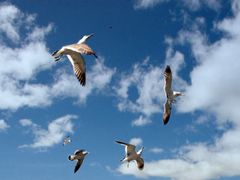 -仁川港国际客运码头