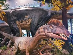 -湖南省地质博物馆