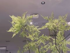 -绿茶餐厅(滨海万达广场店)