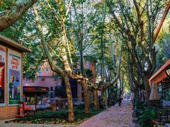 -西安电影制片厂