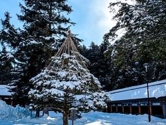 -北海道神宫