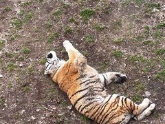-西安秦岭野生动物园