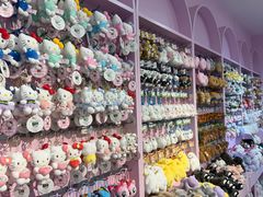 -鹏佳腾学生文创