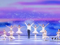 -中央芭蕾舞团·中芭艺蕾(酒仙桥明星校区)