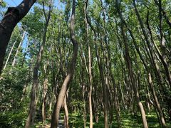 -同里国家湿地公园