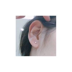 -花师傅