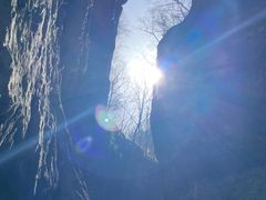 -牛背梁国家森林公园