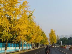 -四川大学(望江校区)