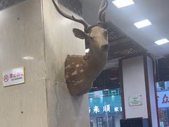 -乔家满族八大碗(流水沟店)