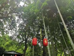 -杭州黄龙洞
