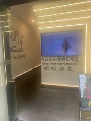 -蚂蚁造型俱乐部
