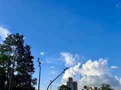 -南山图书馆(常兴路店)