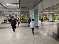 -宋家庄(地铁站)
