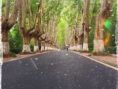 -钟山体育运动公园