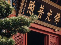 -深圳仙湖植物园