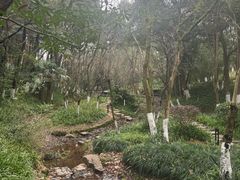 -杭州半山国家森林公园