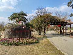 -鹅湖玫瑰文化园