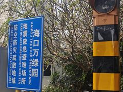 -万绿园